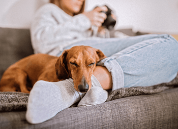 Woman sits on couch with her dog asleep at her feet